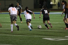 JV GS v USHS - 428