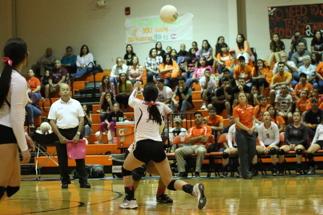 JV VB v Alx - 038