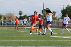 JV v Alx - 111