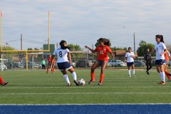 JV v Alx - 113
