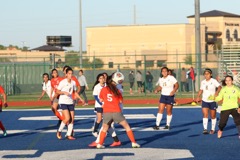 JV v Alx - 238