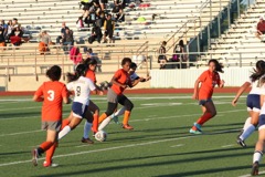 JV v Alx - 268