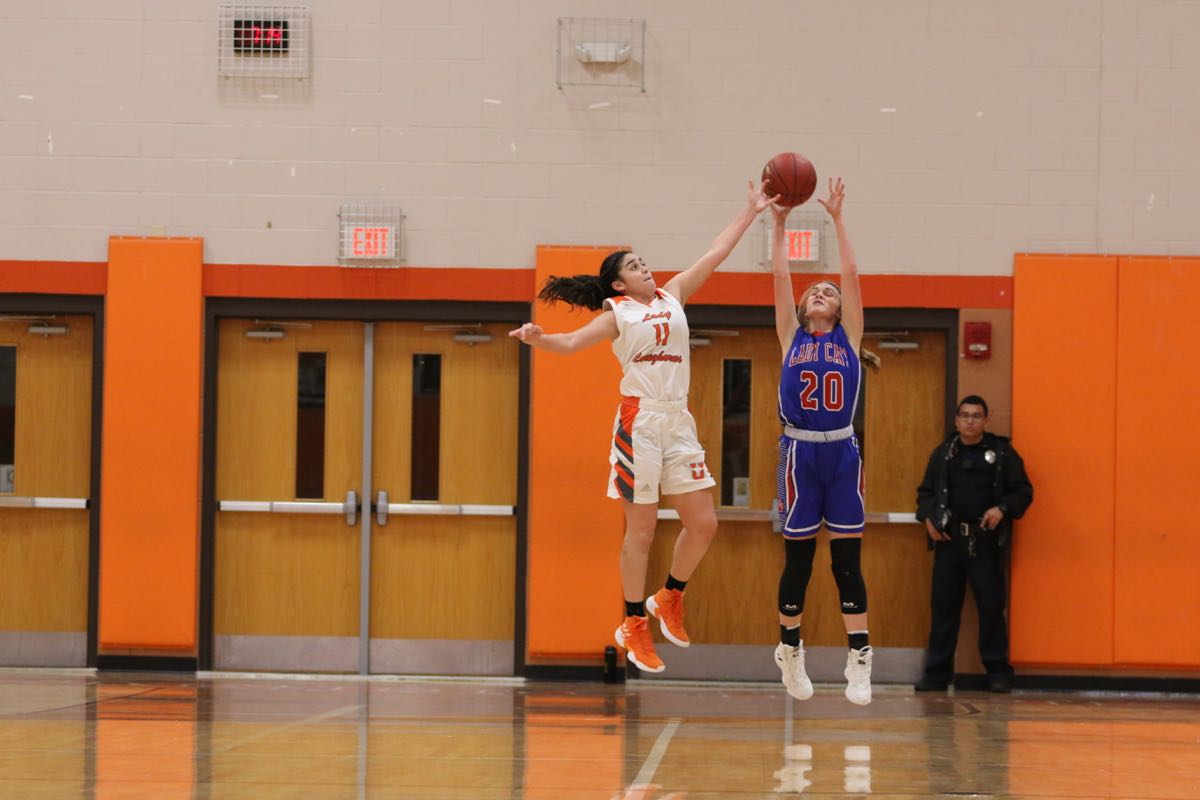 GBBvLadyCats - 167