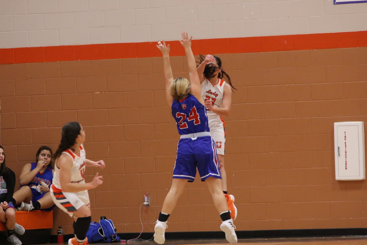 GBBvLadyCats - 201