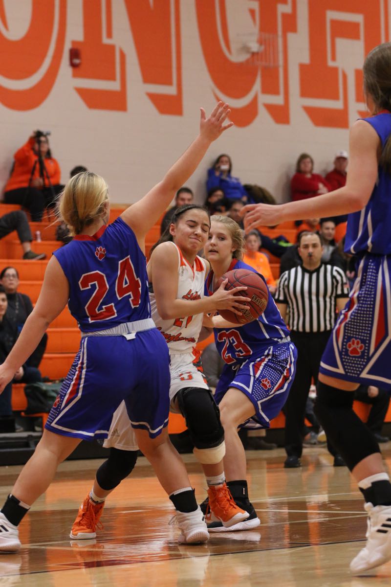 GBBvLadyCats - 236