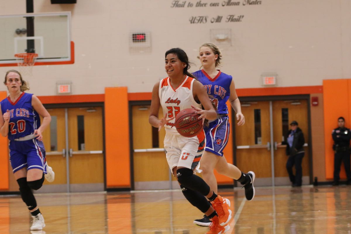 GBBvLadyCats - 453