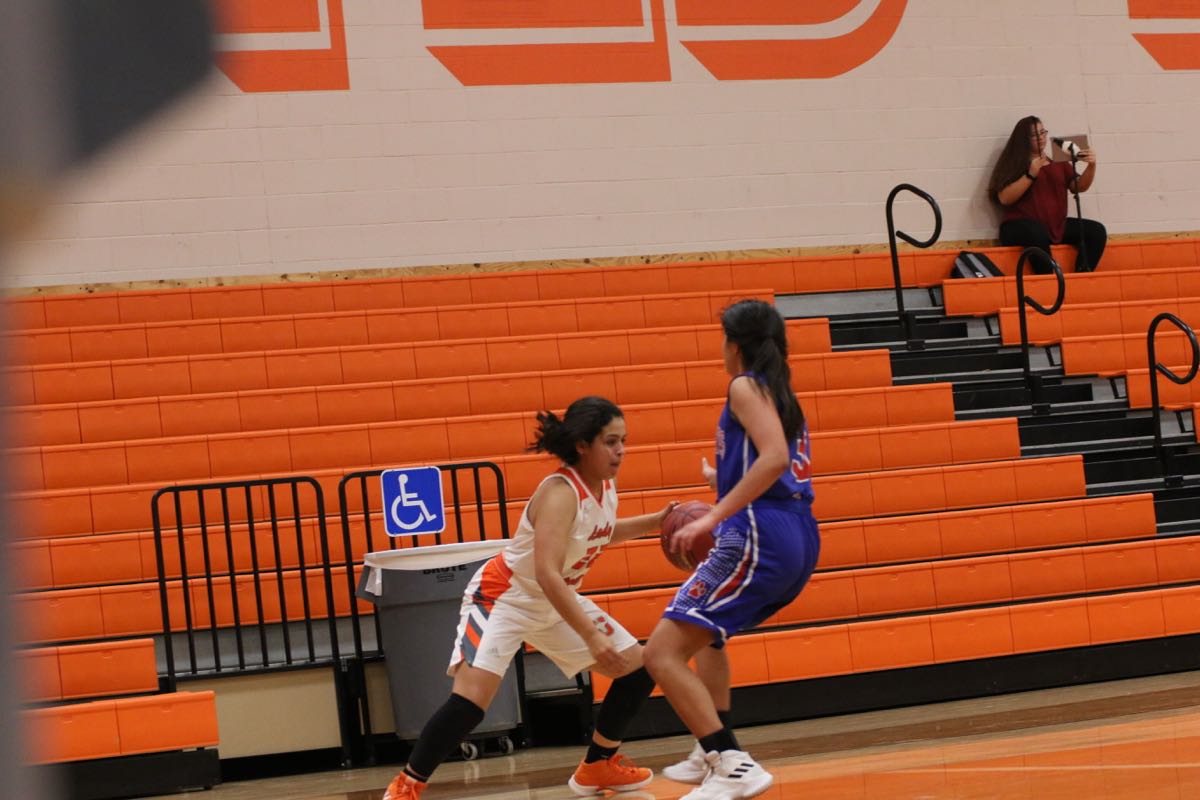 GBBvLadyCats - 455