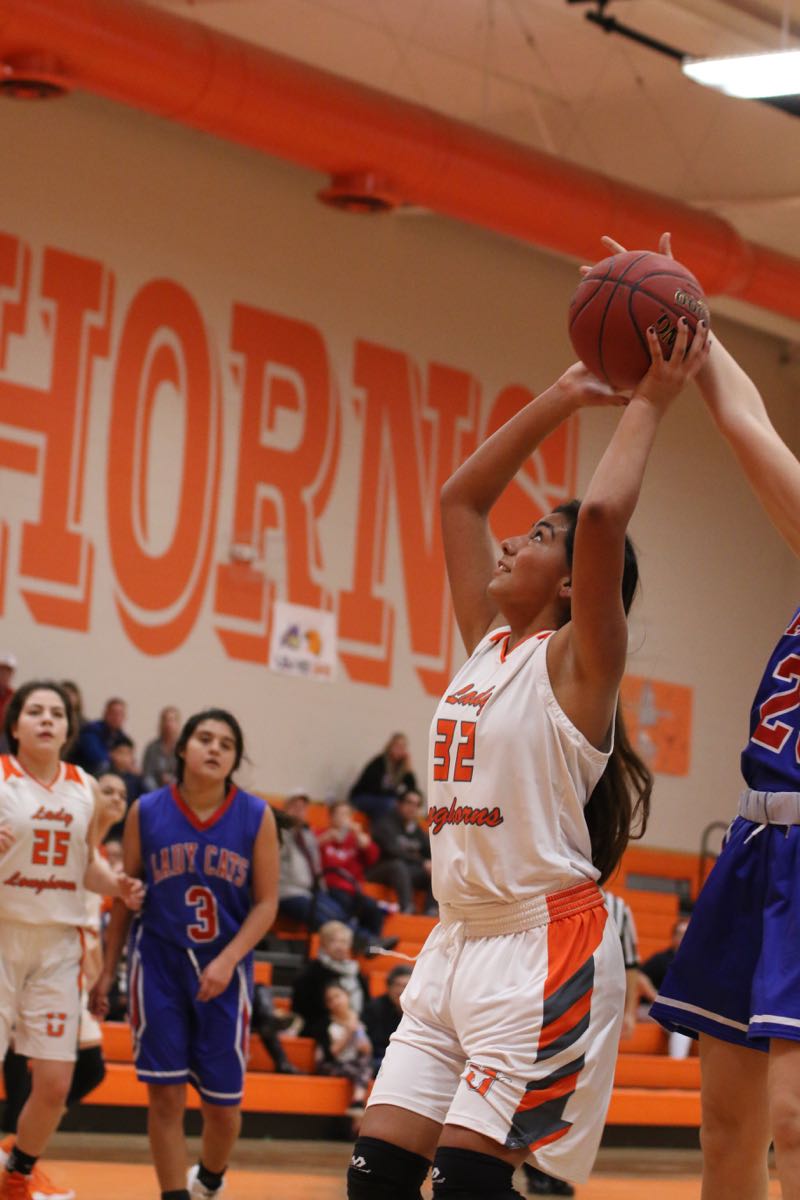 GBBvLadyCats - 465