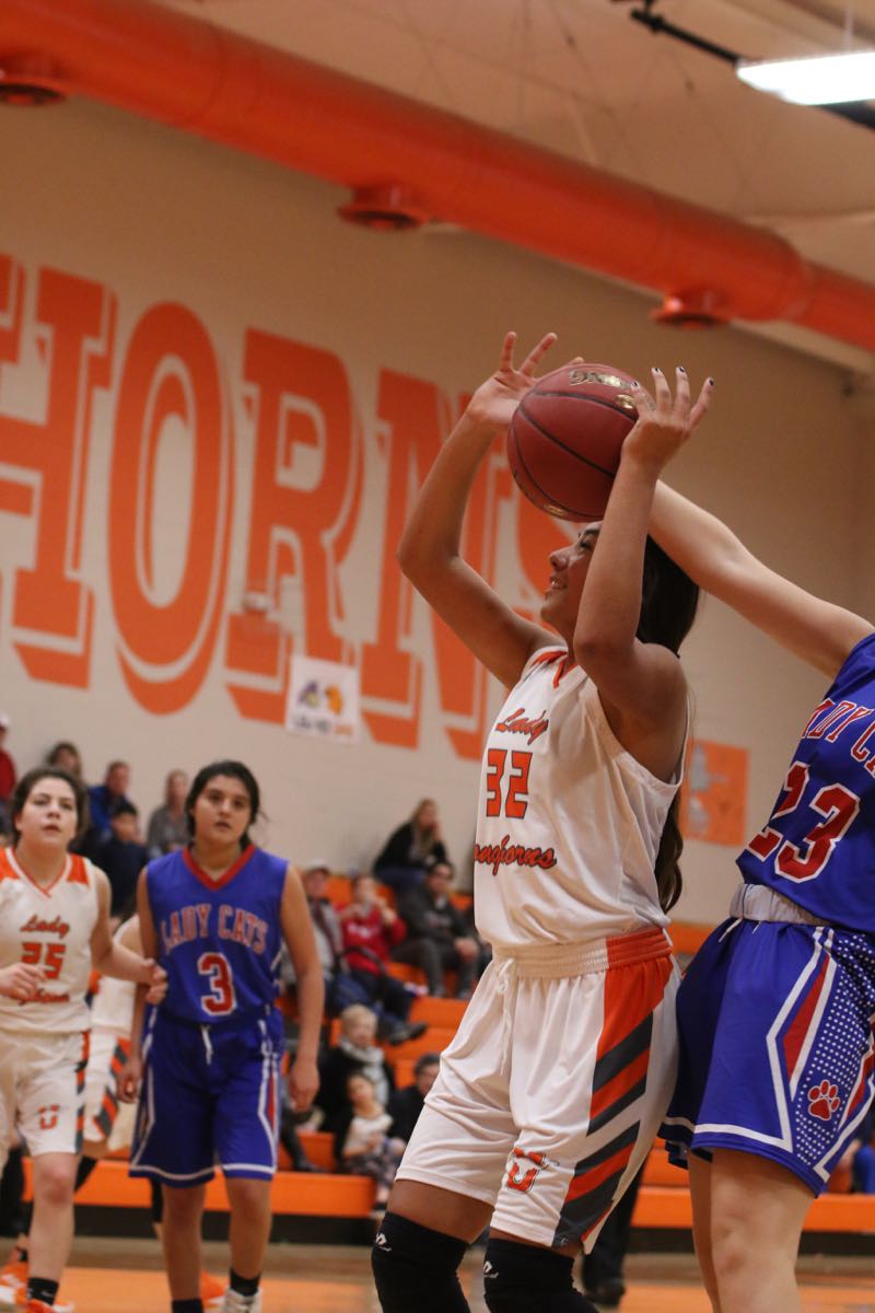 GBBvLadyCats - 466