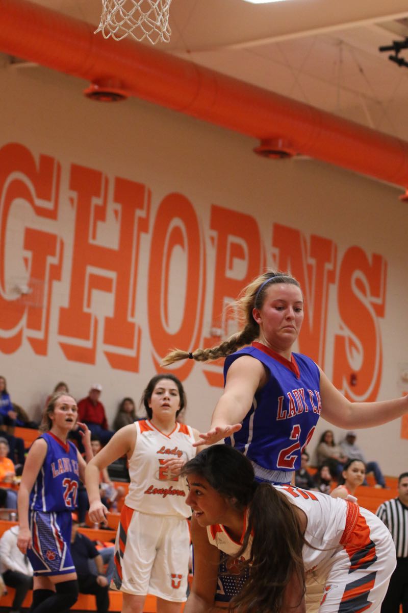 GBBvLadyCats - 468