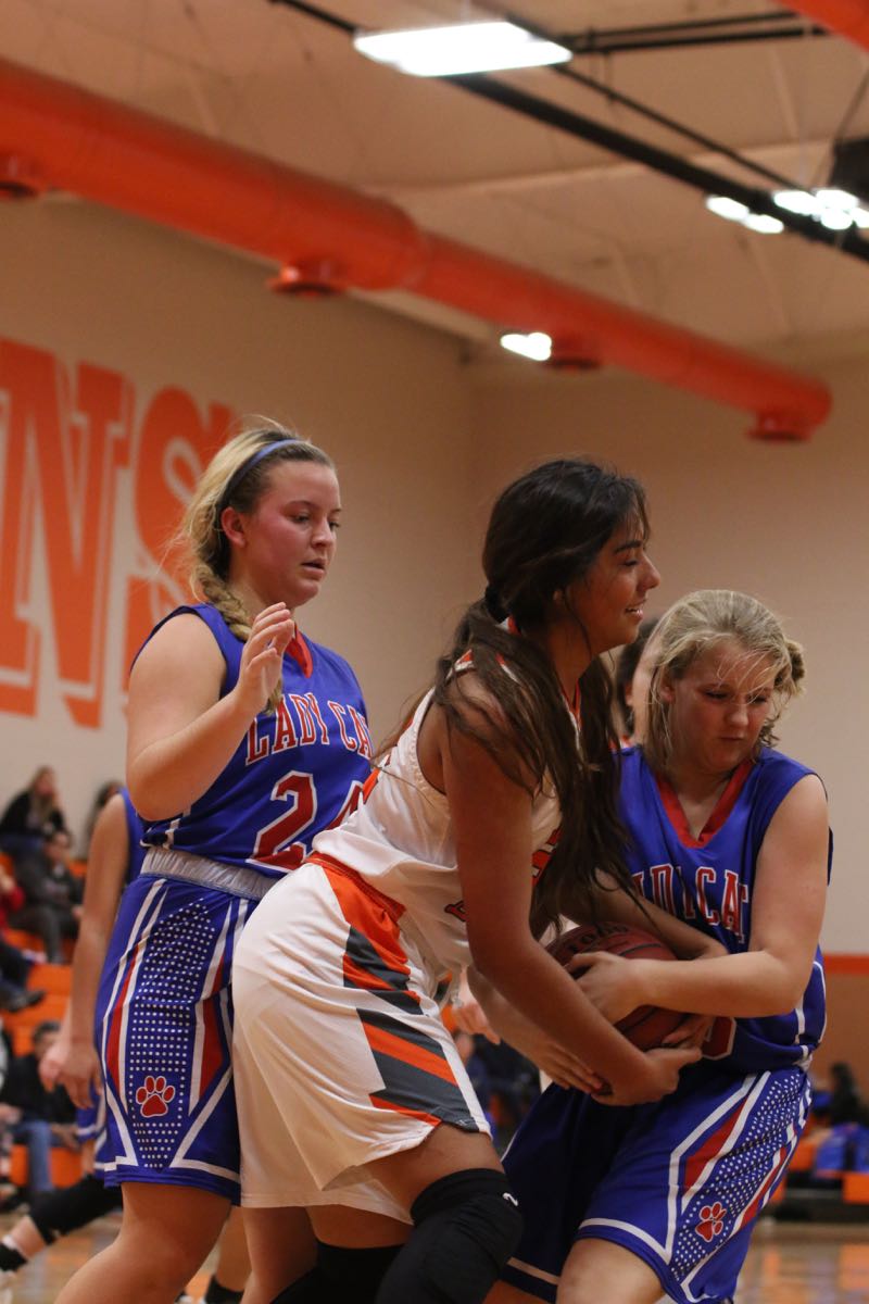 GBBvLadyCats - 472
