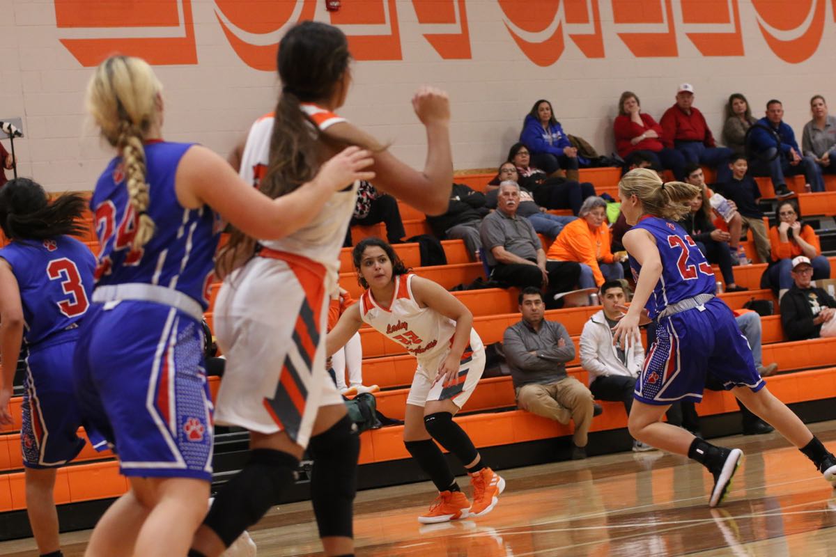 GBBvLadyCats - 474