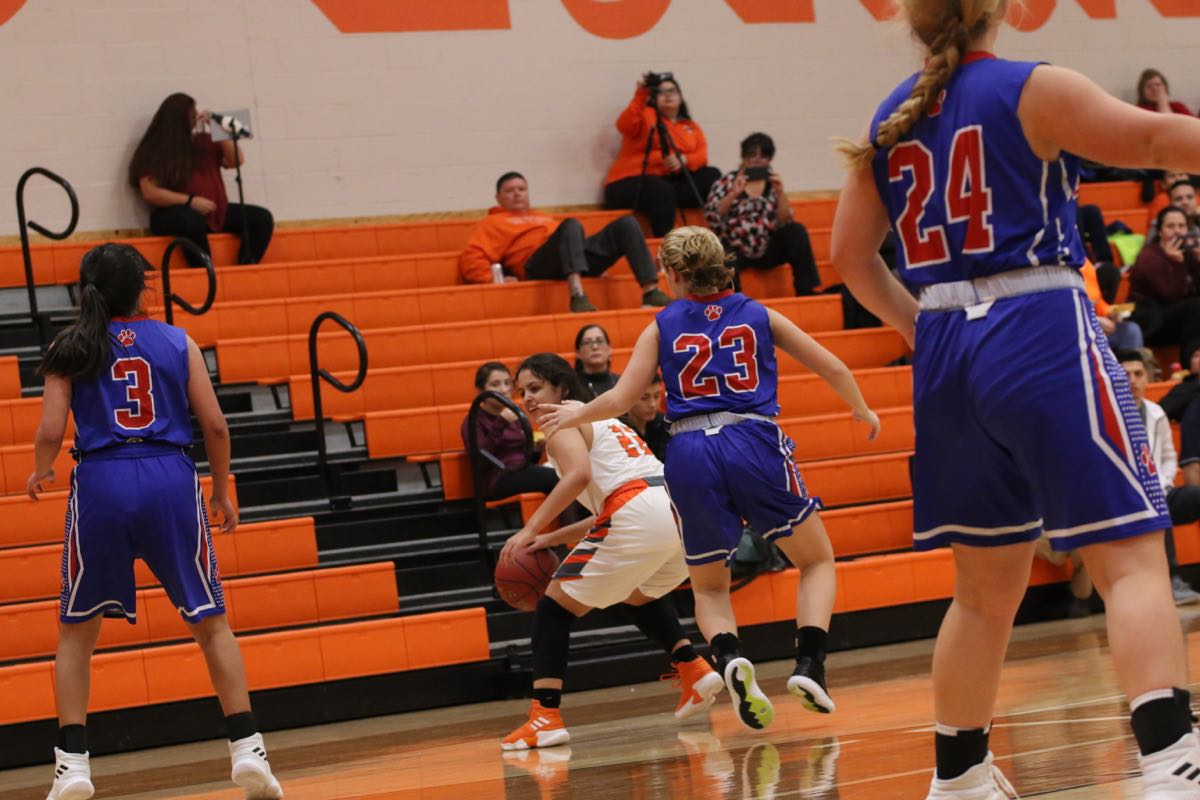 GBBvLadyCats - 475
