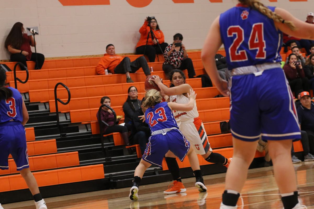 GBBvLadyCats - 476