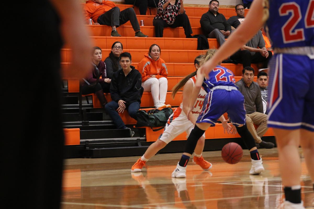 GBBvLadyCats - 518