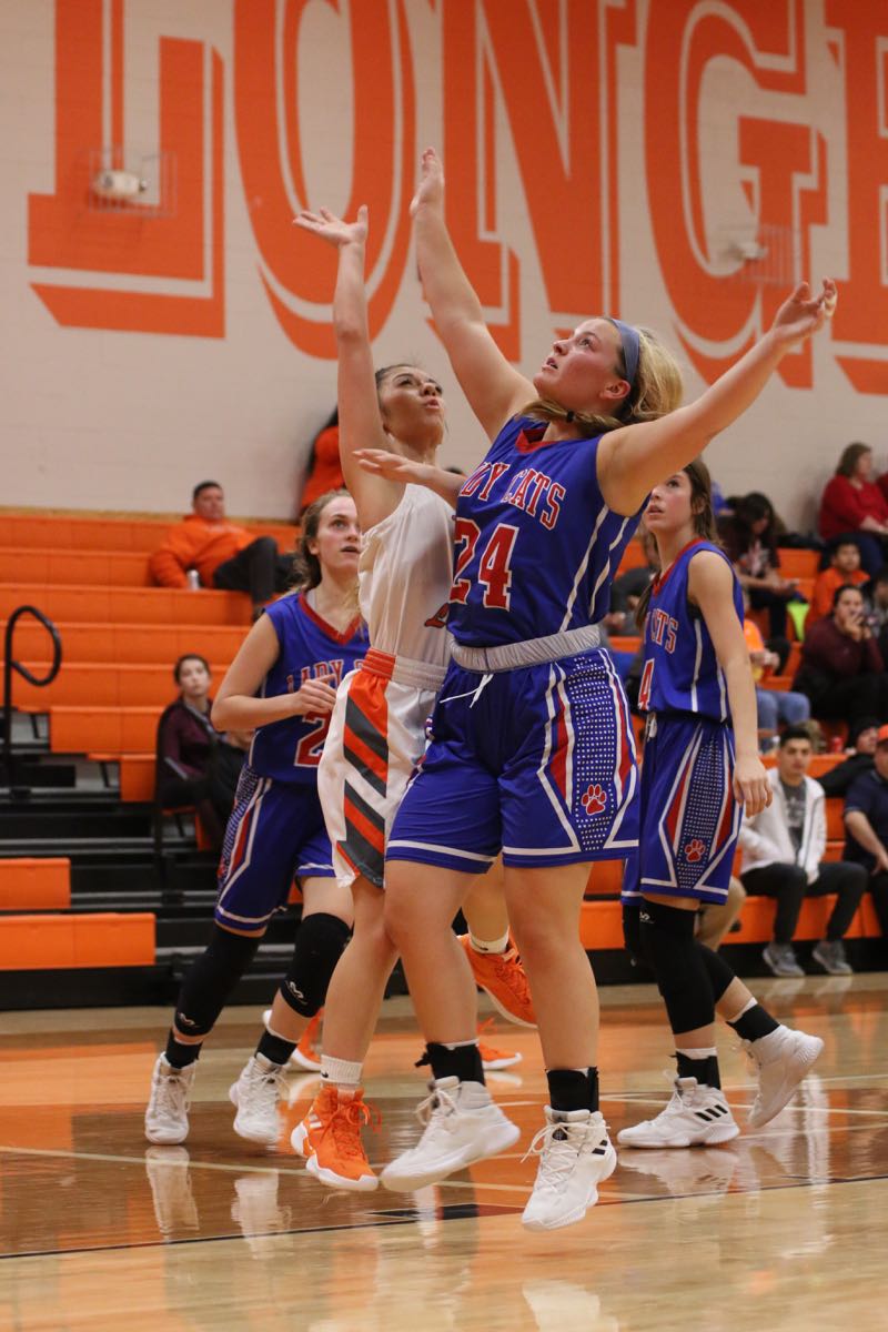 GBBvLadyCats - 522