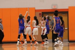 GBBvLadyCats - 130