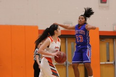 GBBvLadyCats - 002