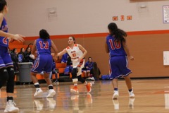 GBBvLadyCats - 306