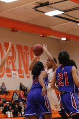 GBBvLadyCats - 348