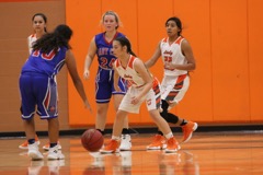 GBBvLadyCats - 370