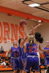 GBBvLadyCats - 430