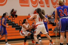 GBBvLadyCats - 458