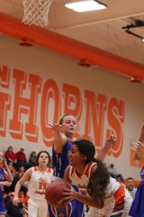 GBBvLadyCats - 467