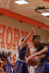 GBBvLadyCats - 469