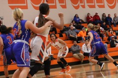 GBBvLadyCats - 474