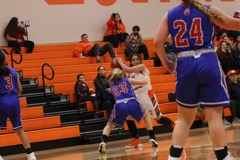 GBBvLadyCats - 476