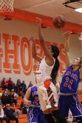GBBvLadyCats - 478