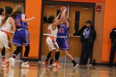 GBBvLadyCats - 505
